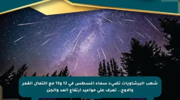 شهب البرشاويات تضيء سماء أغسطس في 12 و13 مع اكتمال القمر والأوج.. تعرف على مواعيد ارتفاع المد والجزر